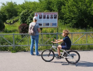 7 июля 2025