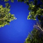 В Рязани продолжают проверять воздух на наличие вредных примесей