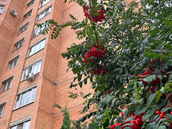 vyECg9KNAaAnQ0oHkJ0zqdZWU65MMWBbfORSfmoF_RNV8O4PMStVTpI-OOB0NuTtyQ_pH_d_1vvVNkDwNTGjyTfQ