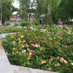 Входы в Нижний и Верхний городские парки Рязани соединит новый пешеходный переход