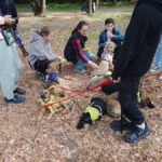 Братья наши меньшие