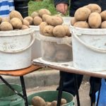 На ярмарках выходного дня в Рязани продали более полутора тонн картофеля