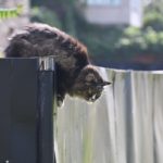 19 сентября 2025