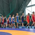 В Рязани четвертый раз состоялся Всероссийский турнир по греко-римской борьбе