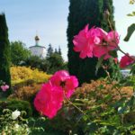 22 сентября 2025