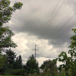 Сотрудники «Рязаньэнерго» за первое полугодие реконструировали более 117 км воздушных линий электропередачи