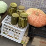 В Рязани за незаконную торговлю на улицах с начала года привлечены 1533 нарушителя