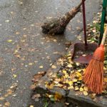 В Рязани пройдет заключительный субботник этой осени