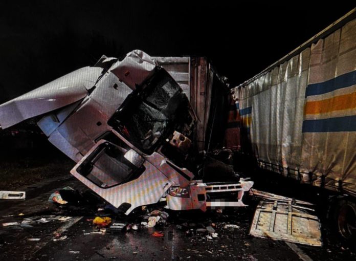 2f36195c-370c-4bc6-b496-3ed370dda03f