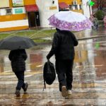 В Рязанской области проходит рейд ГАИ «Пешеход»