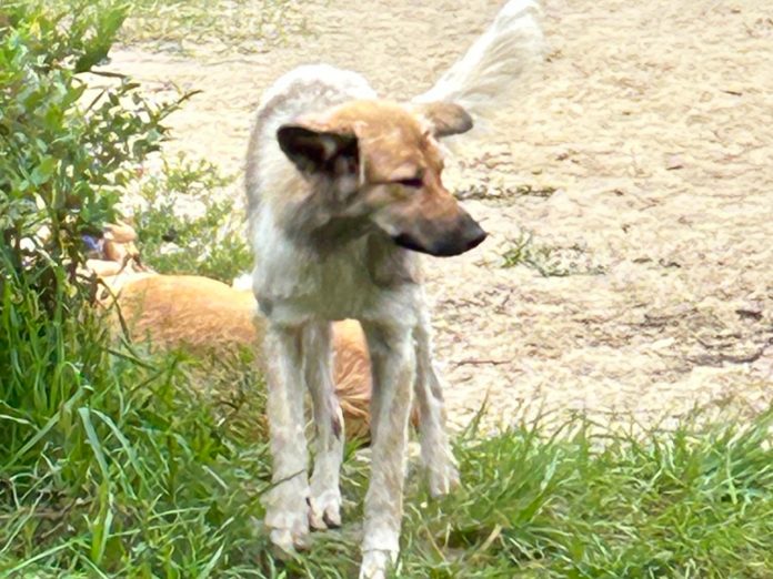 74HwKOgvTEDB6pqRL4R2X8cNn4QJteqQfyhYuGdfzSEF1xHpMpj8lMQ8tMua3Pug_KbK3alVk2fRrmLJFnUqFfTs