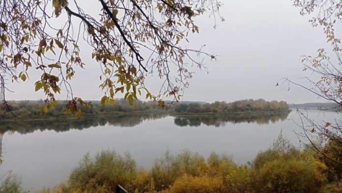 7iFj5lRF3jJbF4R48guykqf4ex7Myc-hwUkdeknqpdxgsOckS8CBOwunMevLwJ5PfdLaQdMOkGGfWjdSA_J1QRlQ