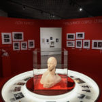 В Рязани открылась выставка, приуроченная к 100-летию Майи Плисецкой