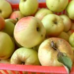 На ярмарках выходного дня в Рязани продали 2 тонны яблок и груш