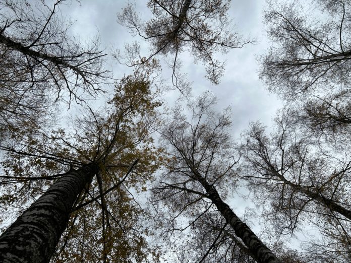 MCxRLUgnEU4uXXEDbgvkjn9EQAM1H1fjrKWHKAccPxU8pMzDGlNKX4EHaXvIsRby2T5j6NJCIrj45q5hjWOXGljM