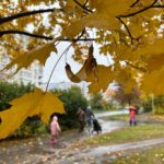 Завтра в Рязанской области пройдет небольшой дождь