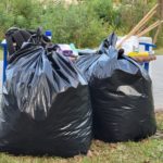В Рязани прошел заключительный общегородской субботник