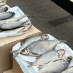 Больше 1800 штрафов за год выписали в Рязани за несанкционированную торговлю