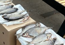 Больше 1800 штрафов за год выписали в Рязани за несанкционированную торговлю