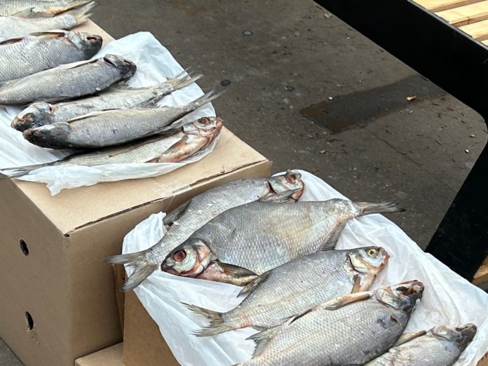 XWAgdThTYyq--8WaS0eUeR_SQ8DJz3hwQUSRZfNz2bXNi57FdfZs7s9T1GfzmQsnMdWOu503KAkiCCZTju87XwYp