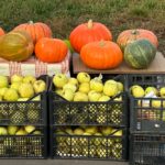 Рязанцев продолжают штрафовать за незаконную уличную торговлю