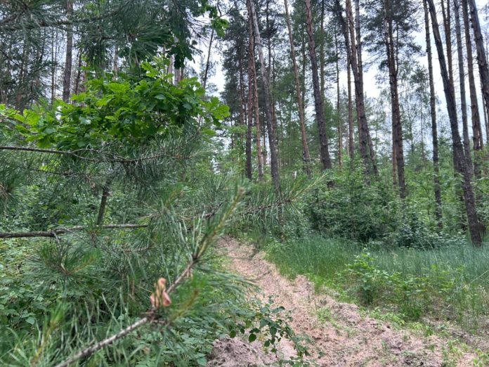 eaPFIBU163ETcOyHTxDa2xCHEVSEYGogTTCxnVagJRYz-gmeCPsexbNaAZfzc1Ie-pwDku9o8oQJNjRJKTf8br0f