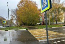 В Рязанской области выявляли пешеходов – нарушителей правил дорожного движения