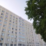 18 октября в Рязани пройдет единый день озеленения