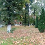 Завтра в Рязани пройдет первый осенний общегородской субботник