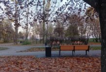 В Рязанской области завтра днем воздух прогреется до +8°С