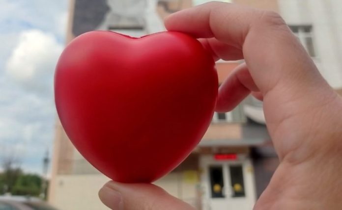 Сердце — копия