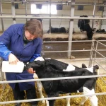 Рязанские аграрии провели достойный сезон