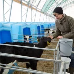 Рязанским предприятиям АПК требуются инженеры, ветеринары, зоотехники, агрономы, технологи, животноводы, механизаторы и водители