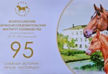 Большая жизнь