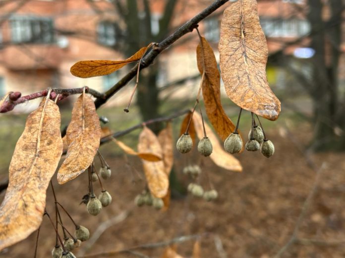 2iLJ8h2CoWQcNxByZvIjV7b59XyXrxqU3YEvvWE5ChXE_frf0ofYA6Nj553QJsv5Gig-UQ_nAWACfBg9Nthl9Yk9