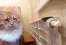 Рязанские должники в декабре смогут списать пени за неоплаченные вовремя услуги отопления