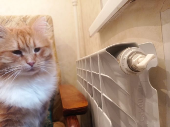 74X1-hbC8Ctet87tk2SC0wFgGcCXswc164oBZjifsvNXM4s7xeyjeA1nwB4X-YpoECQafCz4_VnAzrIw0QvHUlJi