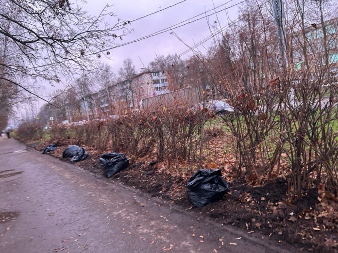 -8USNUwUMG6dKFHiMRcw71suQKkSbyS2VvR0ktH4YlGABQ4UJqZClxlHWXM5k6vL0hvTZkx9gQlPh4aWQ72NHi8U