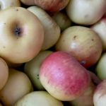 На ярмарках выходного дня в Рязани продали три тонны яблок и груш