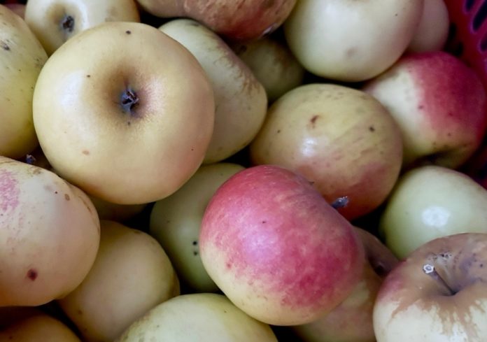 8tB91yXjXGuDItzkGgfC_x5sgYRuhL_ZX8-kvP3zRm088nz6rBHrZOCz00KtOOK6COqymKYhA7zuqL-LHPhqejY0