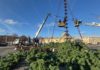 В Рязани монтируют главную городскую ель
