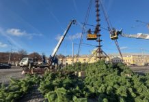 В Рязани монтируют главную городскую ель