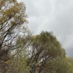 В Рязанской области объявлено метеопредупреждение