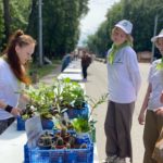 Рязанцев приглашают к участию во всероссийском экологическом конкурсе «Зелёный Зачёт»