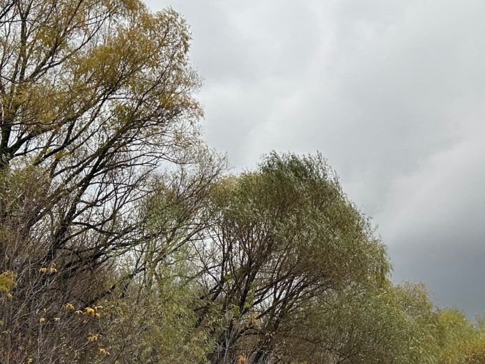 HJgJ26RZH0BdCqVLjsg5ziJYQGCCjHlAm1uCkktlGwBoGLXYWtD-GluAE2XPfCJvTzuOhkT8l2gKz185x4-h19lh (1)