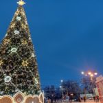 Во время новогодних праздников охранять общественный порядок в Рязани будут сотрудники ОВД и Росгвардии