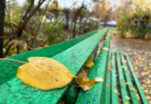 В Рязанской области завтра ожидается дождь