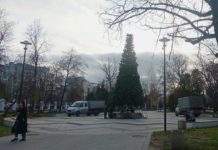 В Рязани приступили к установке новогодних елей