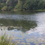 С каждым годом всё больше рязанцев участвуют в экологической акции «Вода России»