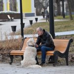 13 ноября 2025